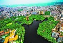 十年树木  重庆“森林围城”打造全国标杆