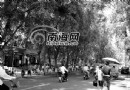 海口：城市绿化“有绿缺荫”能否遮蔽烈日？