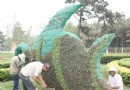 日照：“水运之都”立体花卉迎水上运动会