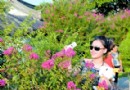 广州：夏花绽放 繁花似锦带给夏日一丝清凉
