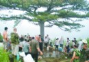 百余村民背水上山救古树 “村中一盏灯”得救