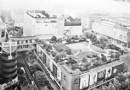 杭州：准备做屋顶绿化  腾出绿地建成停车场