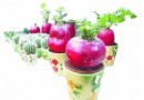 年宵花价格上涨花市淘宝学几招买到心爱花卉