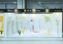 中国代表参加"洲际杯"的花艺国际大赛表现突出
