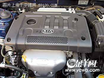 编 号: 1186667 　　　
摄影作者: 　　
文件名:dzzwdx4b196.jpg　　
文件大小:31K　　
高 X 宽:263 X 350　　
说明:dzzwdx4b196.jpg