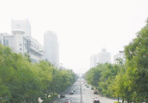 石家庄市民体验首个无车日：感觉挺不错